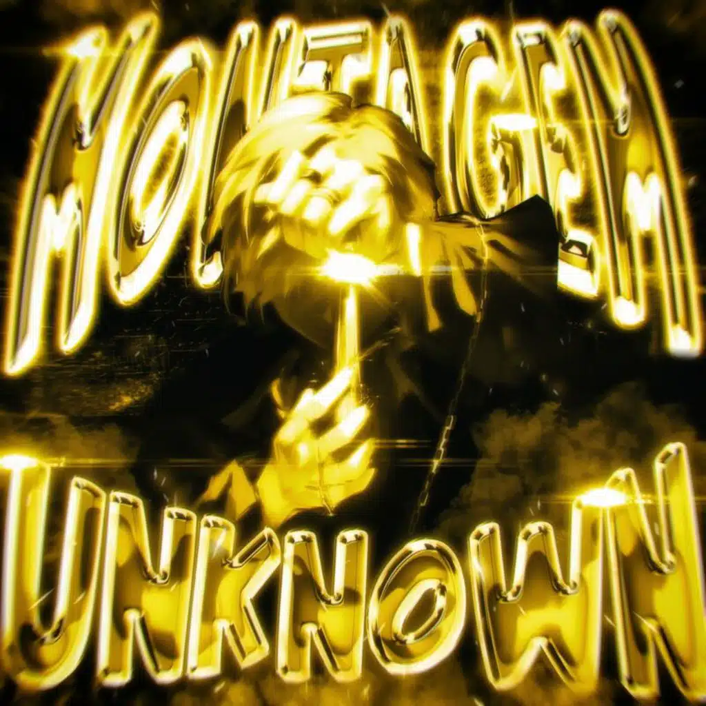 MONTAGEM UNKNOWN (Remixes)