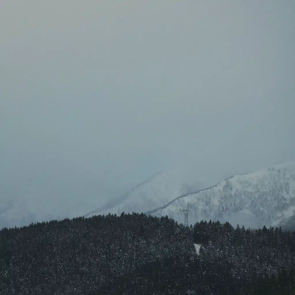 Snowk