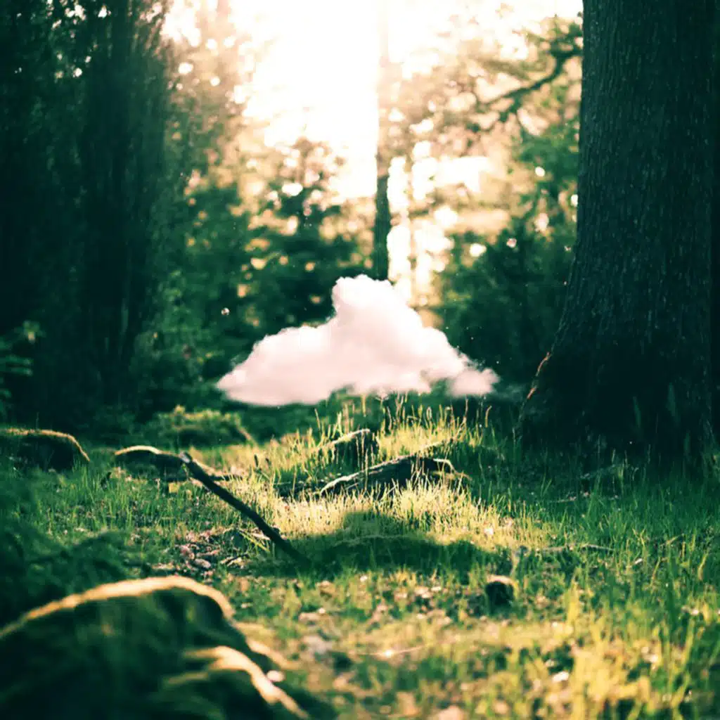 Distant