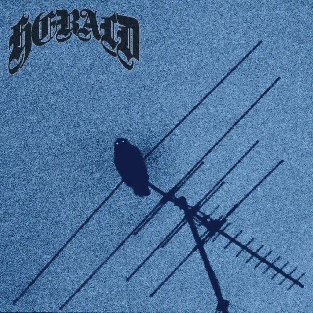 Herald