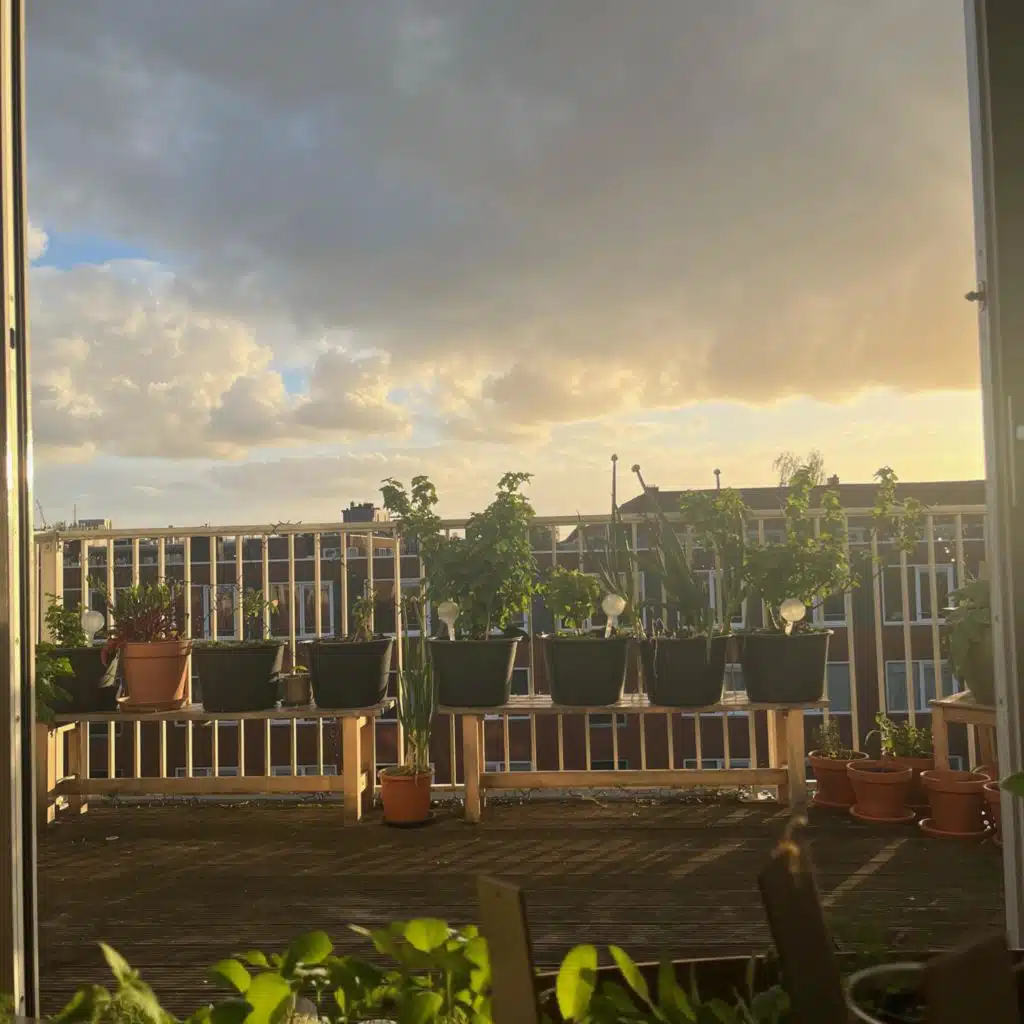The Garden