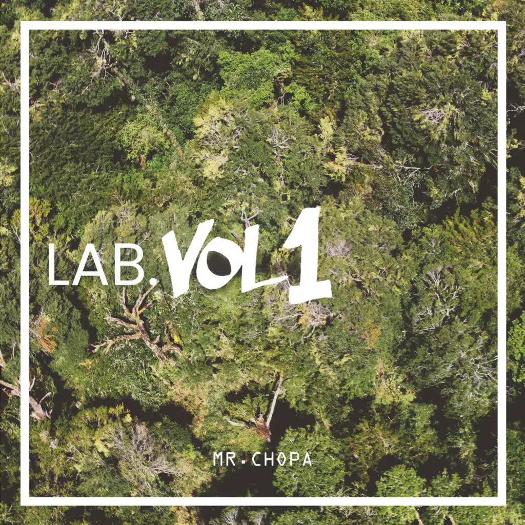 Lab. Vol 1
