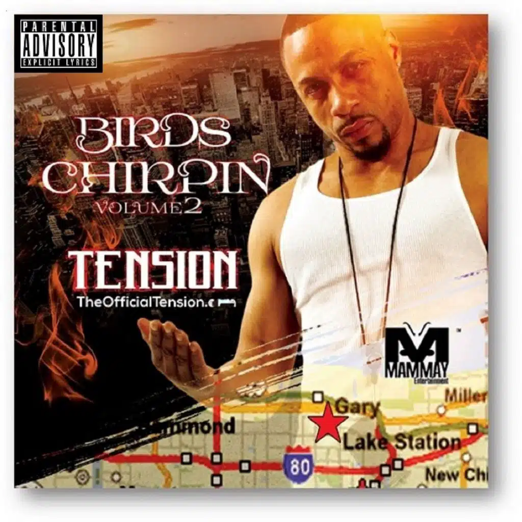 Birds Chirpin', Vol. 2