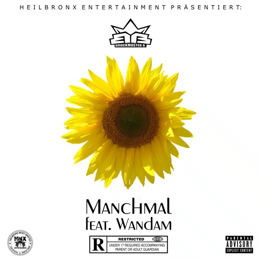 Manchmal (feat. Wandam)