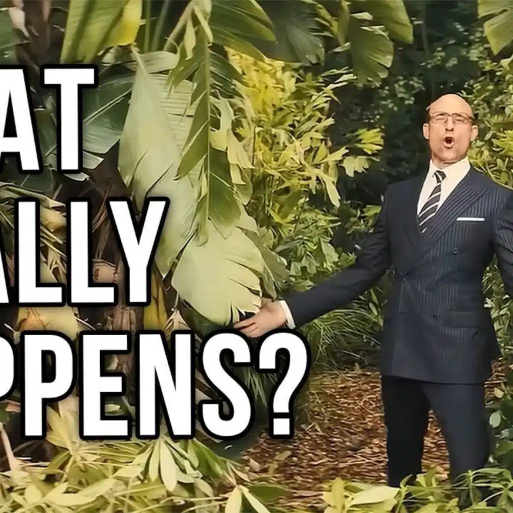 The Truth About Land Mines