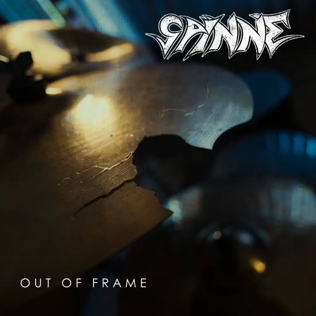 Spinne