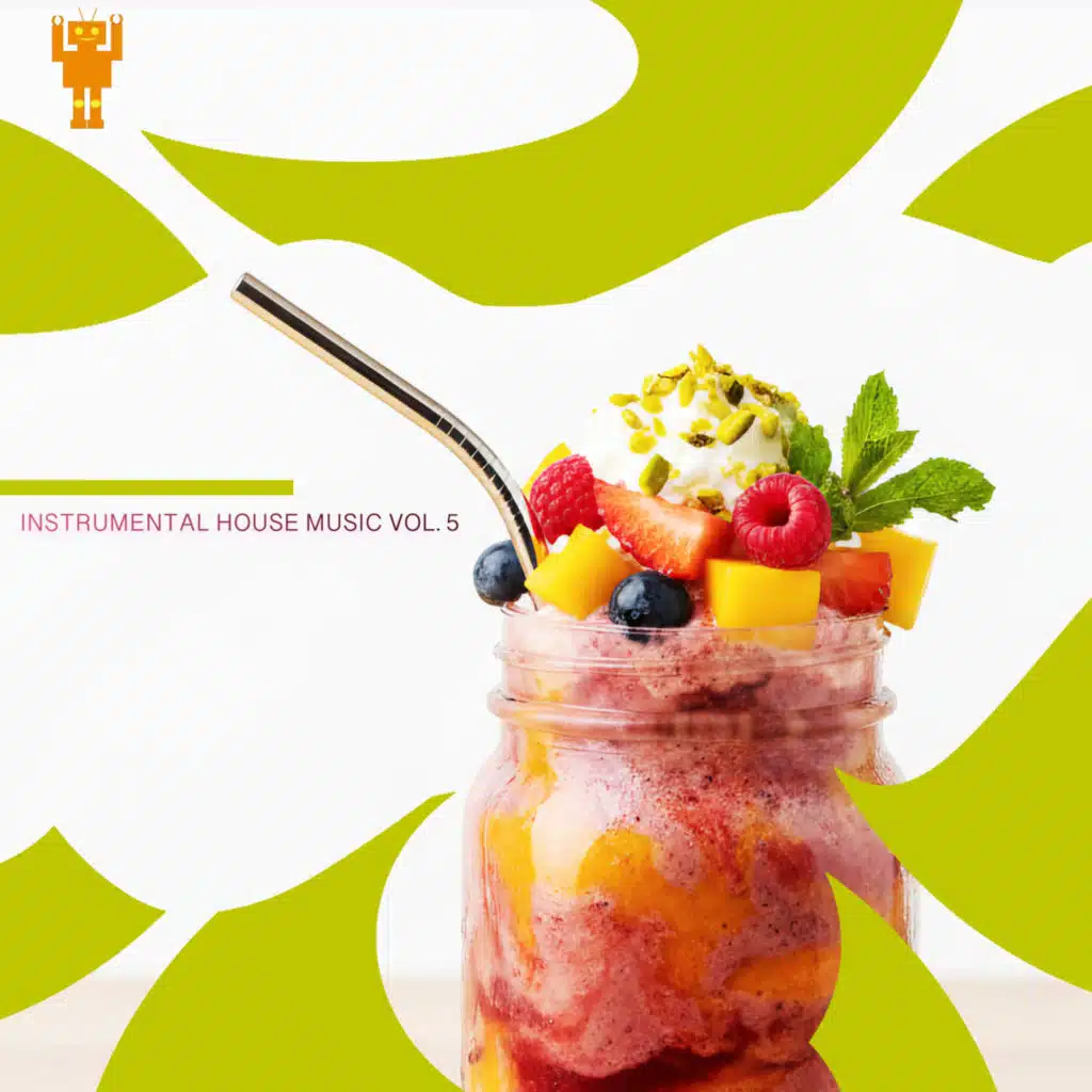 Instrumental House Music Vol. 5