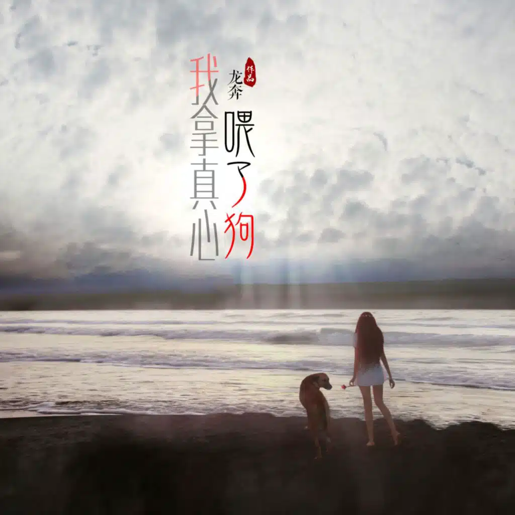 我拿真心喂了狗 (DJ宇轩版)