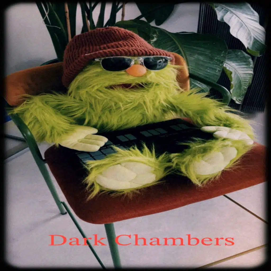 Dark Chambers