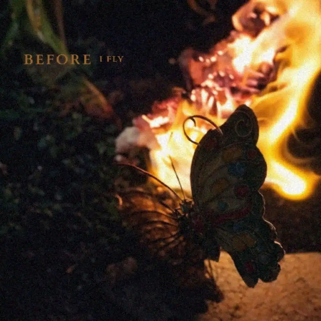 Before I Fly