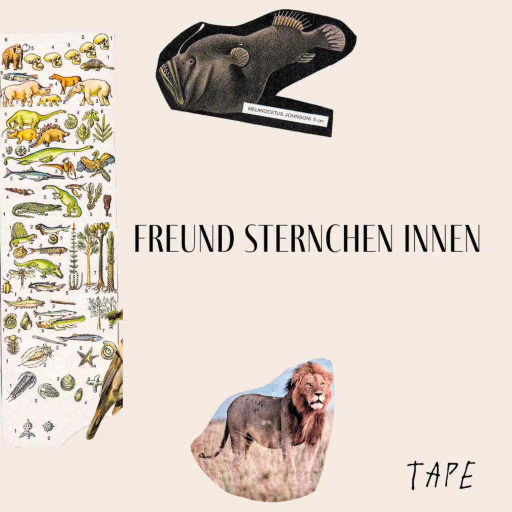 Tape