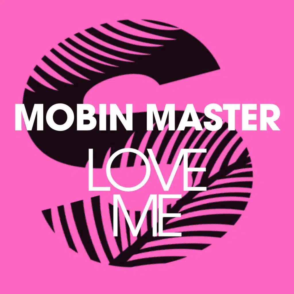 Mobin Master
