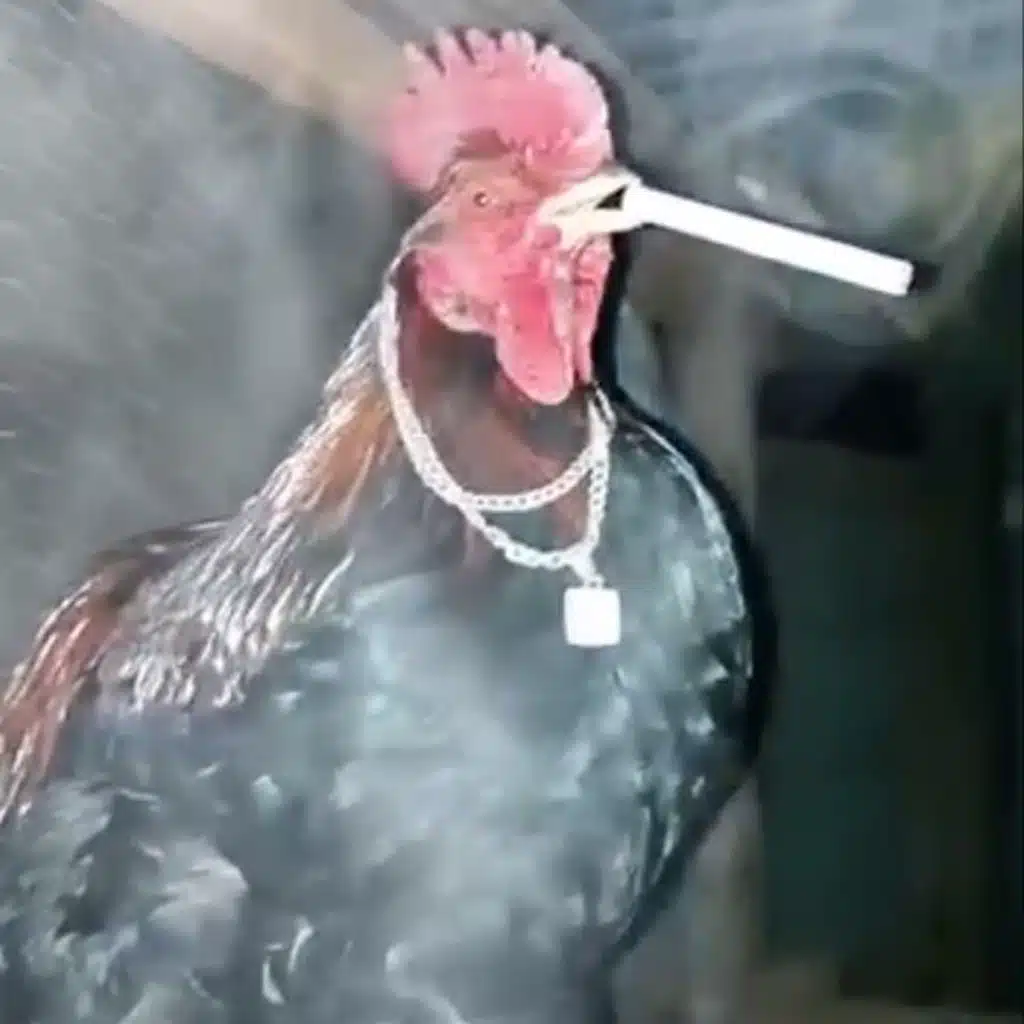Mhrgnat