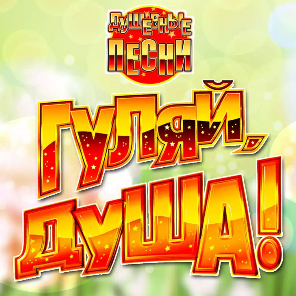 Гуляй, душа! (Душевные песни), Часть 20
