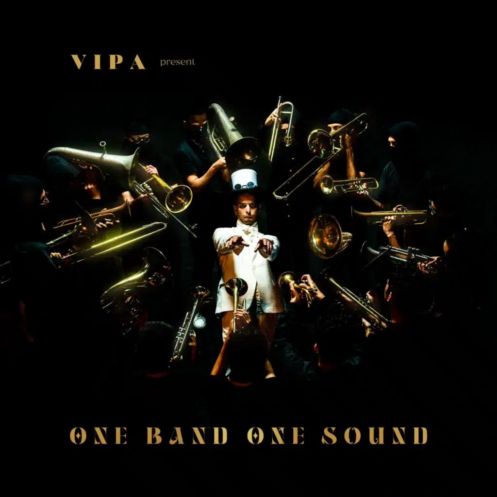 Vipa