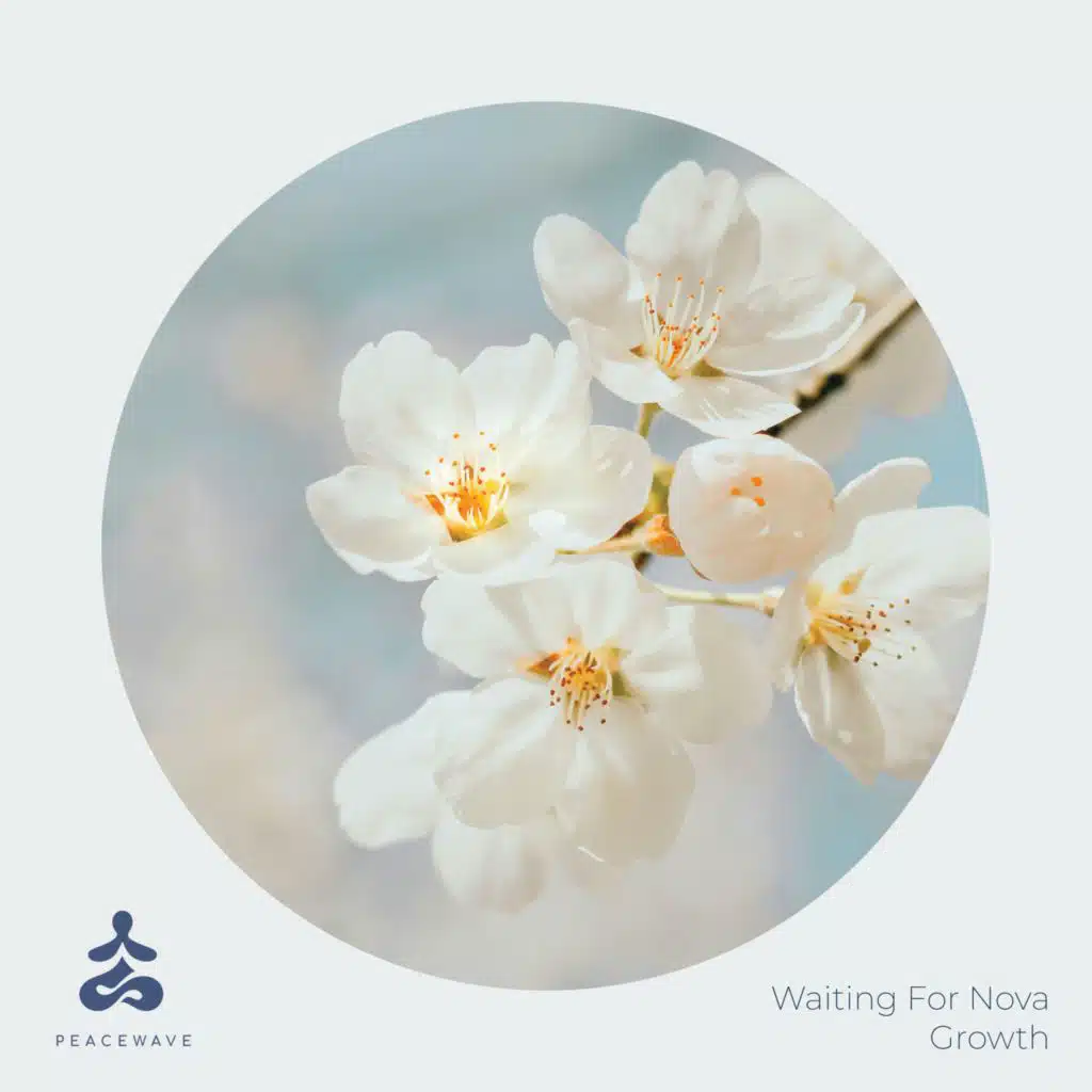 Waiting For Nova