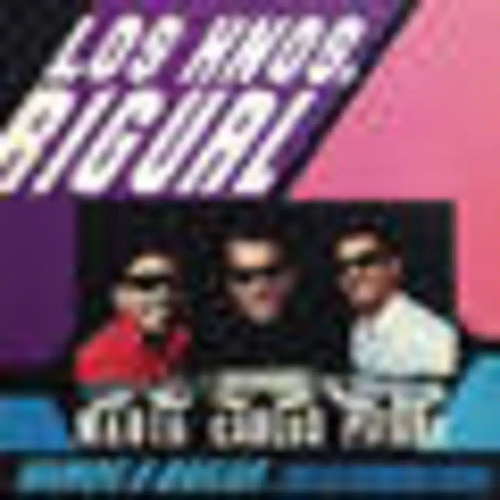 Vamos a Bailar...Con los Hermanos Rigual (2013)