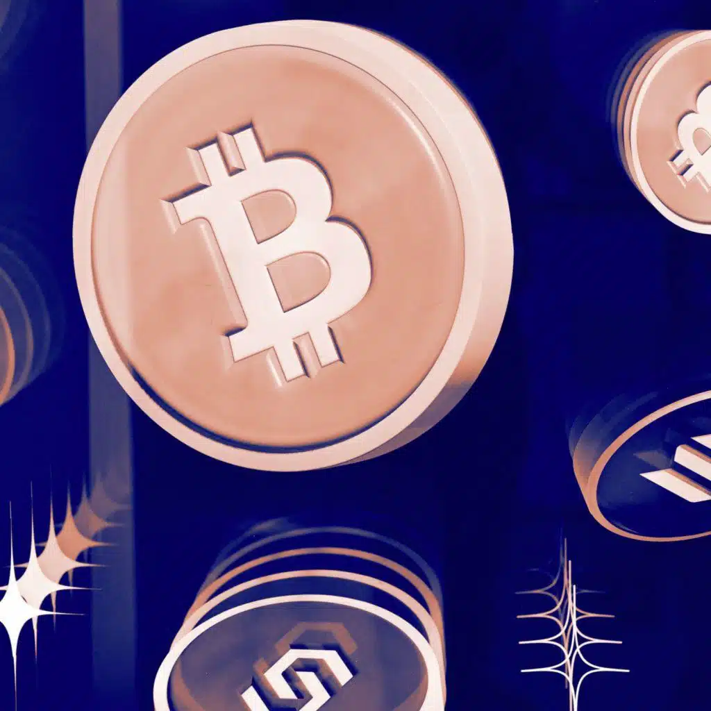 A Bitcoin Evangelist Tries to Convert Me