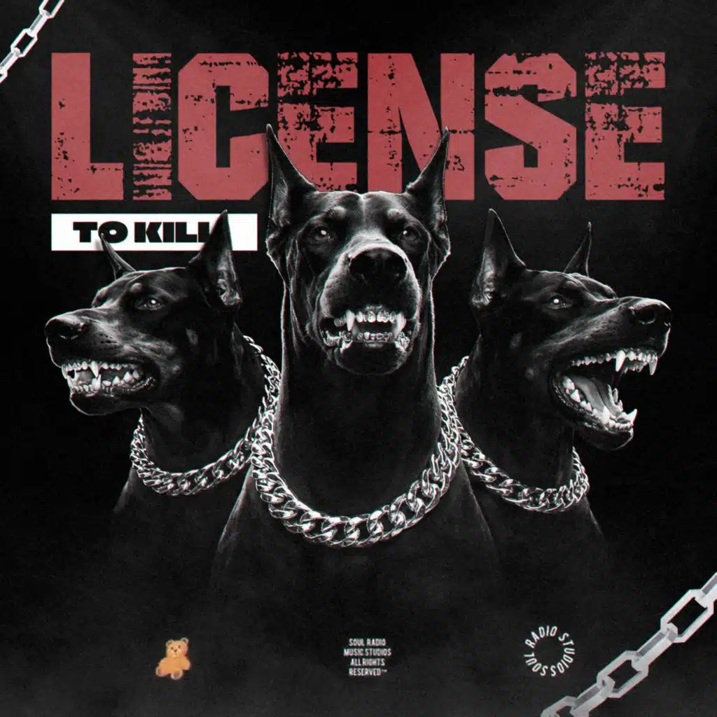 LICENSE TO KILL