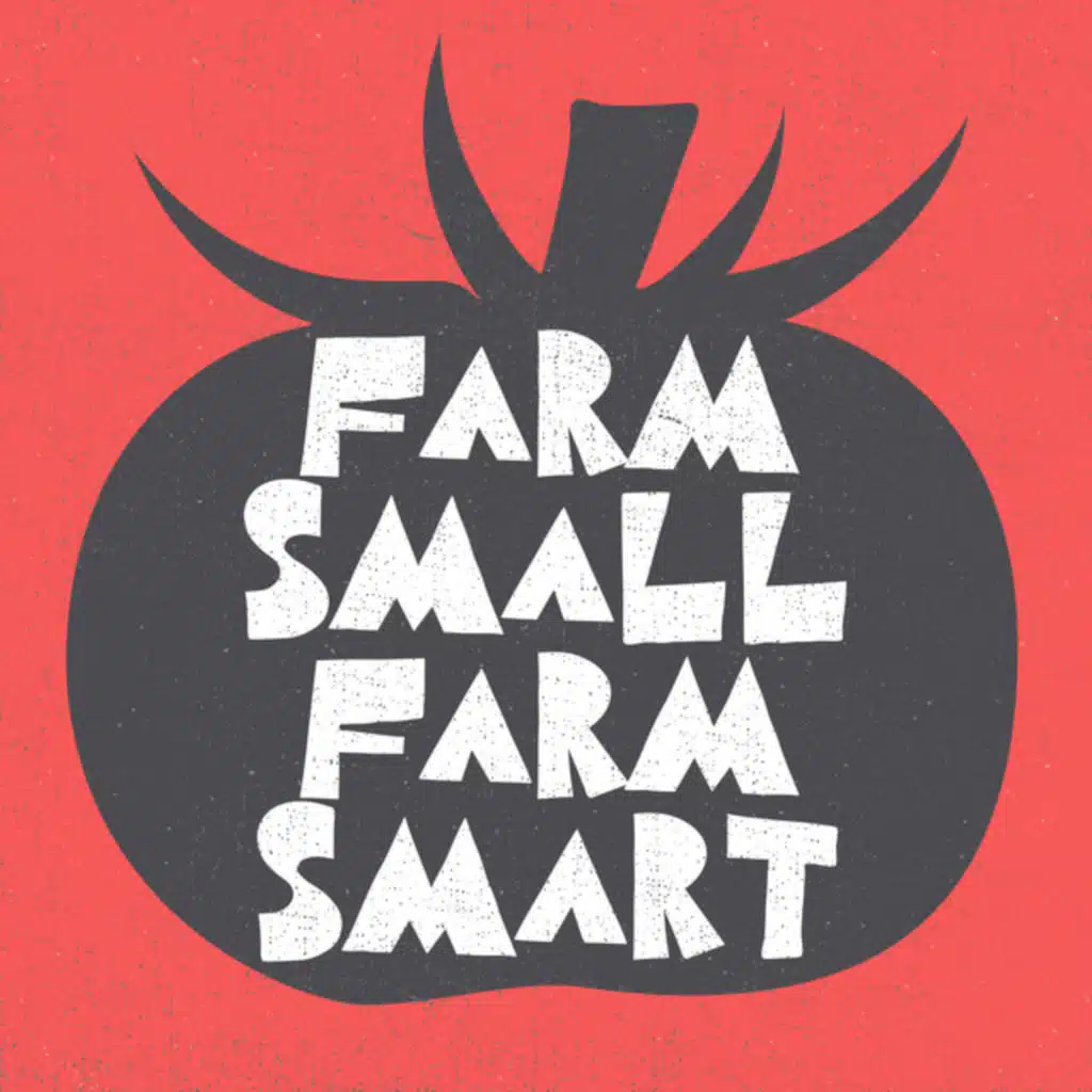 Making $4,700 Daily on a You-Pick Farm (MFB 41)