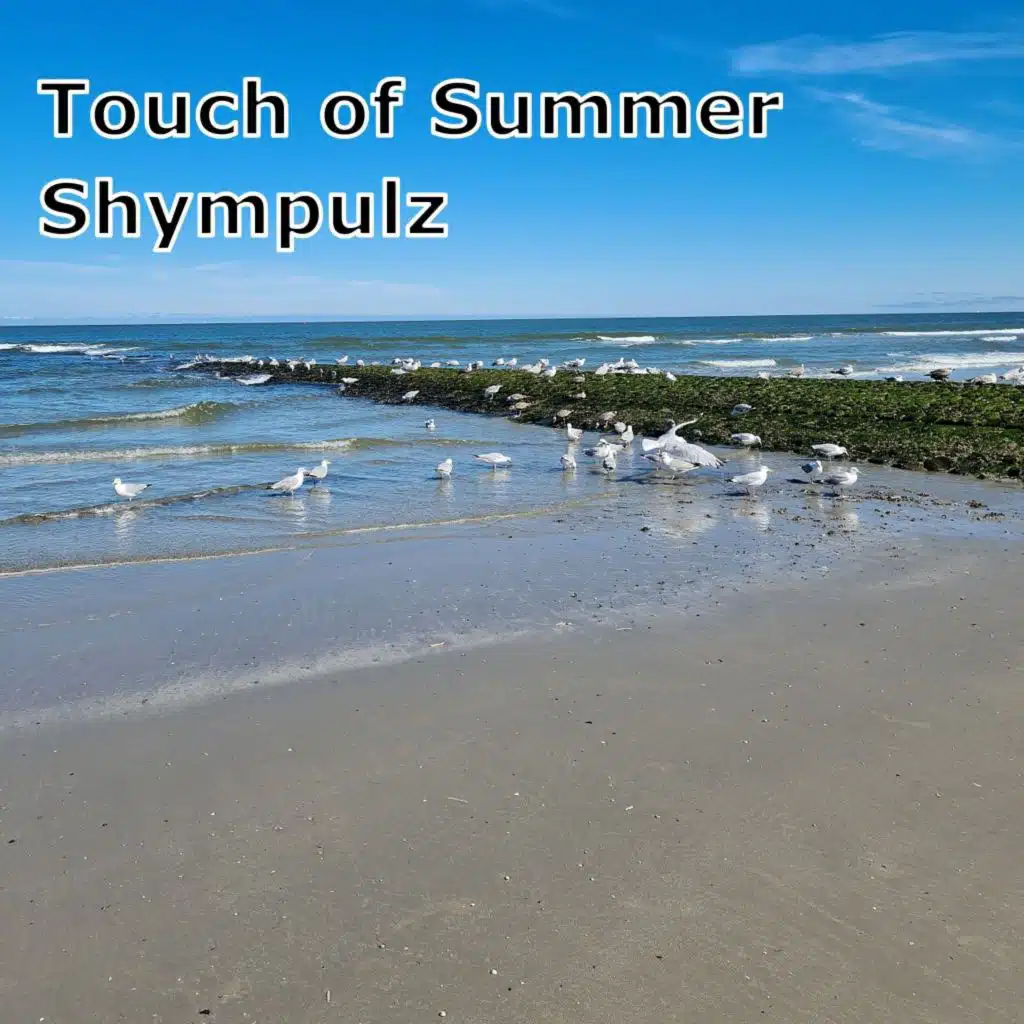 Shympulz