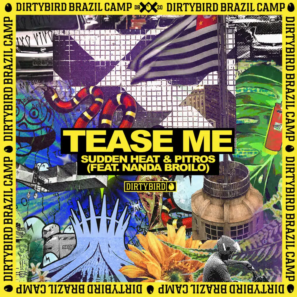 Tease Me (feat. Nanda Broilo)