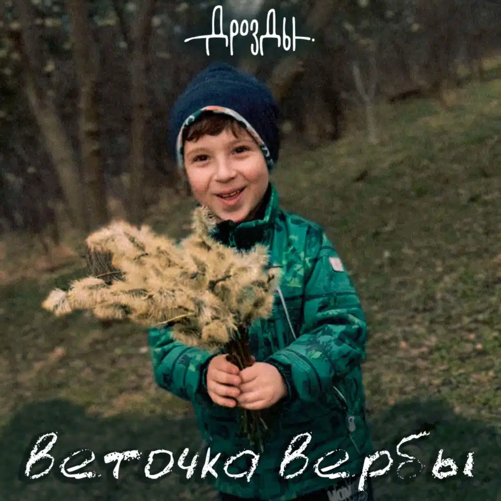 Дрозды