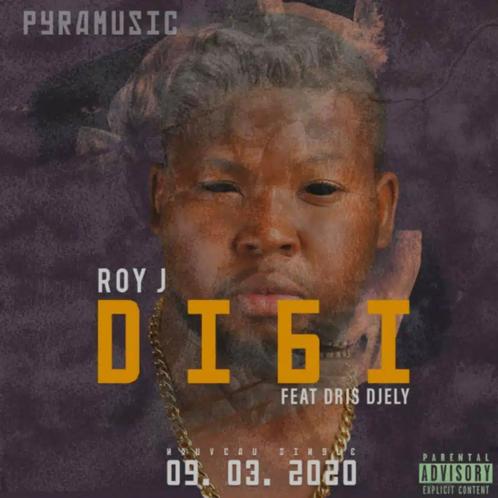 Dibi (feat. Dris Djely)