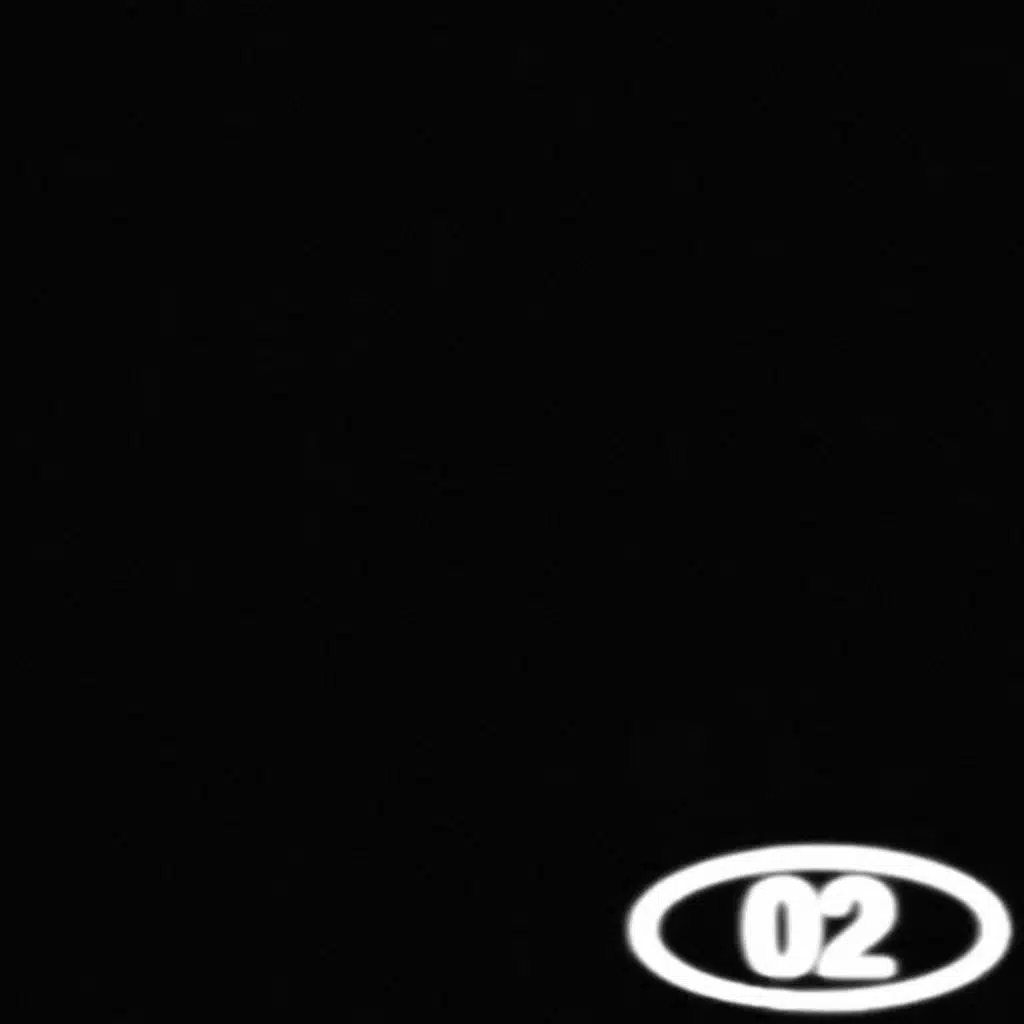 02