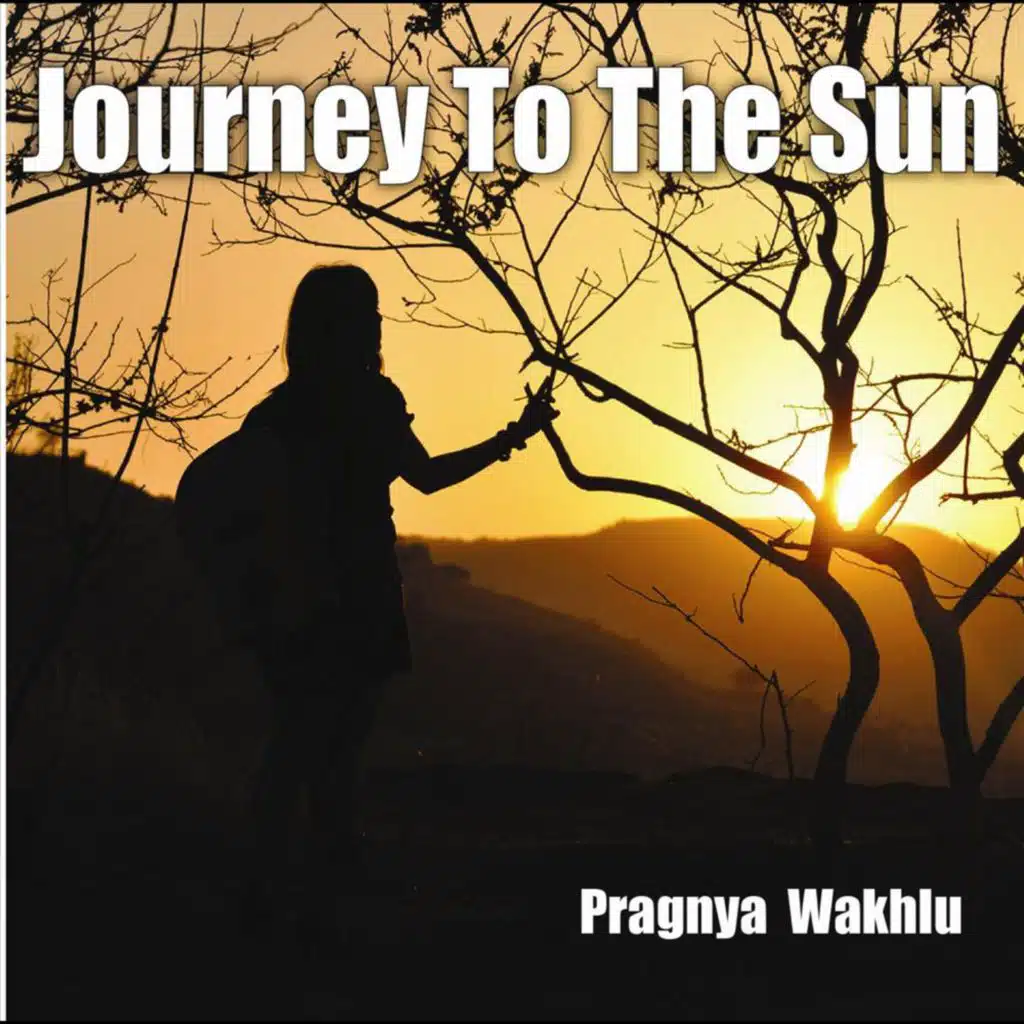 Journey to the Sun