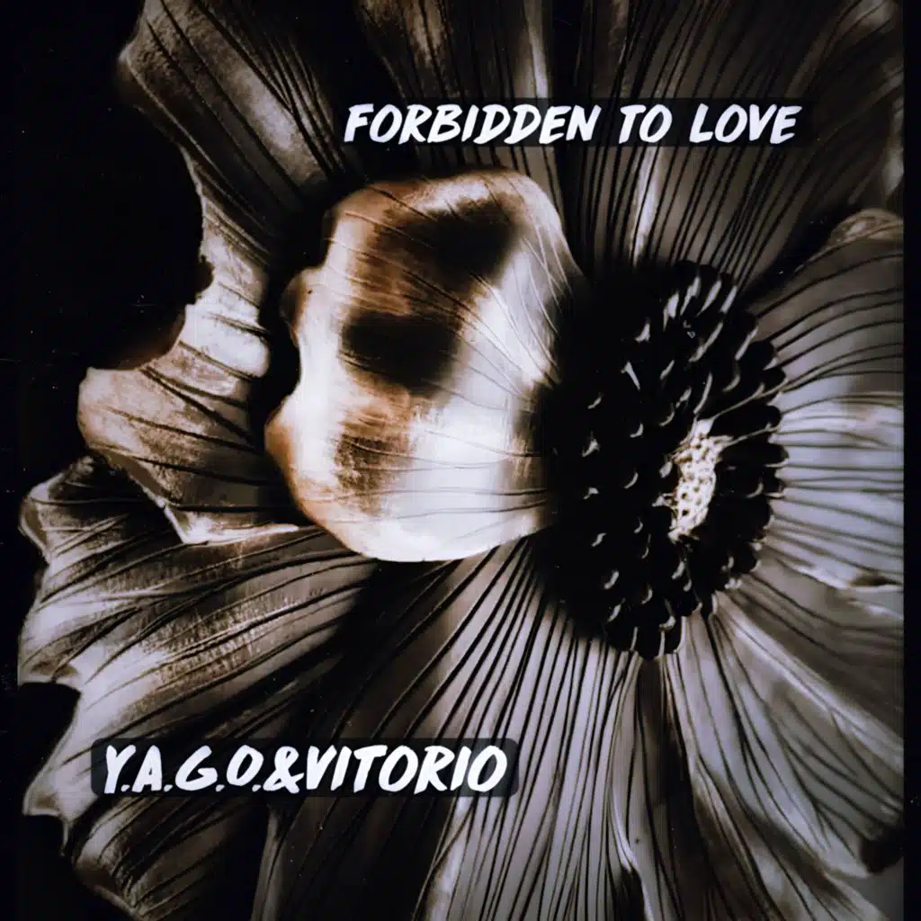 Forbidden To Love