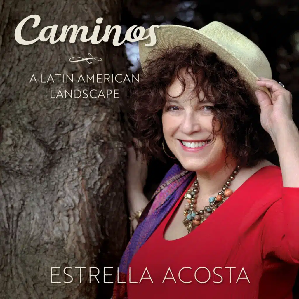 Caminos - A Latin American Landscape