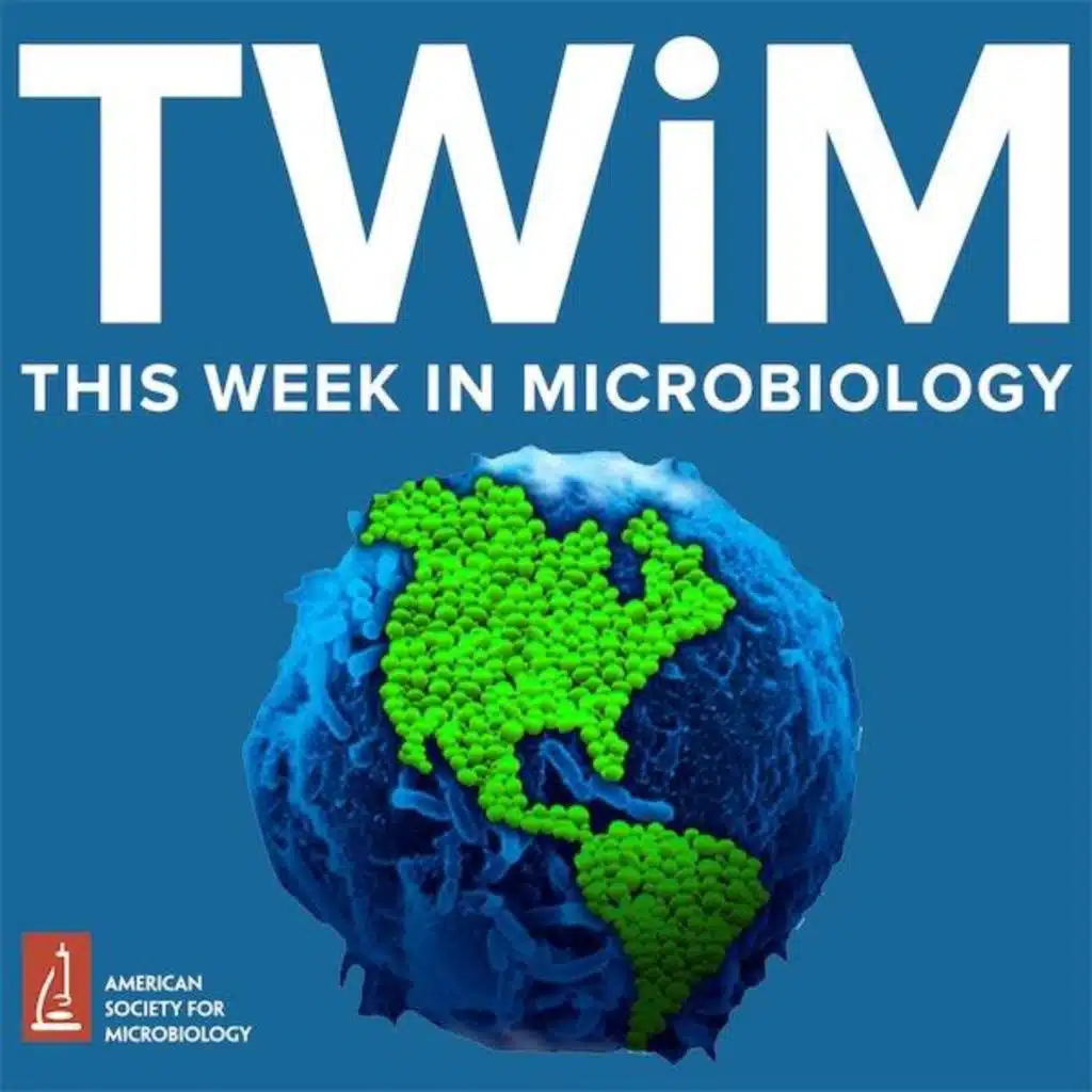 354: How a Gut Microbe Worsens Heart Disease