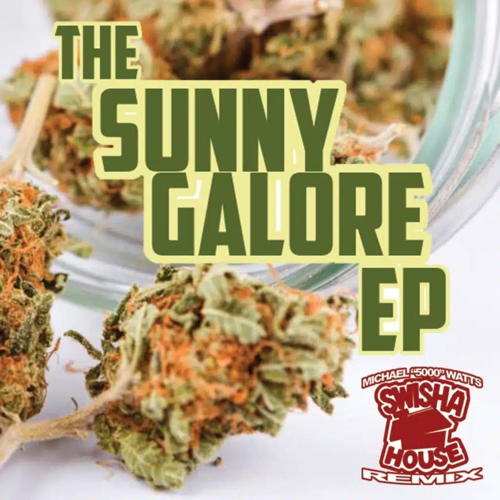 Sunny Galore (Swishahouse Remix)