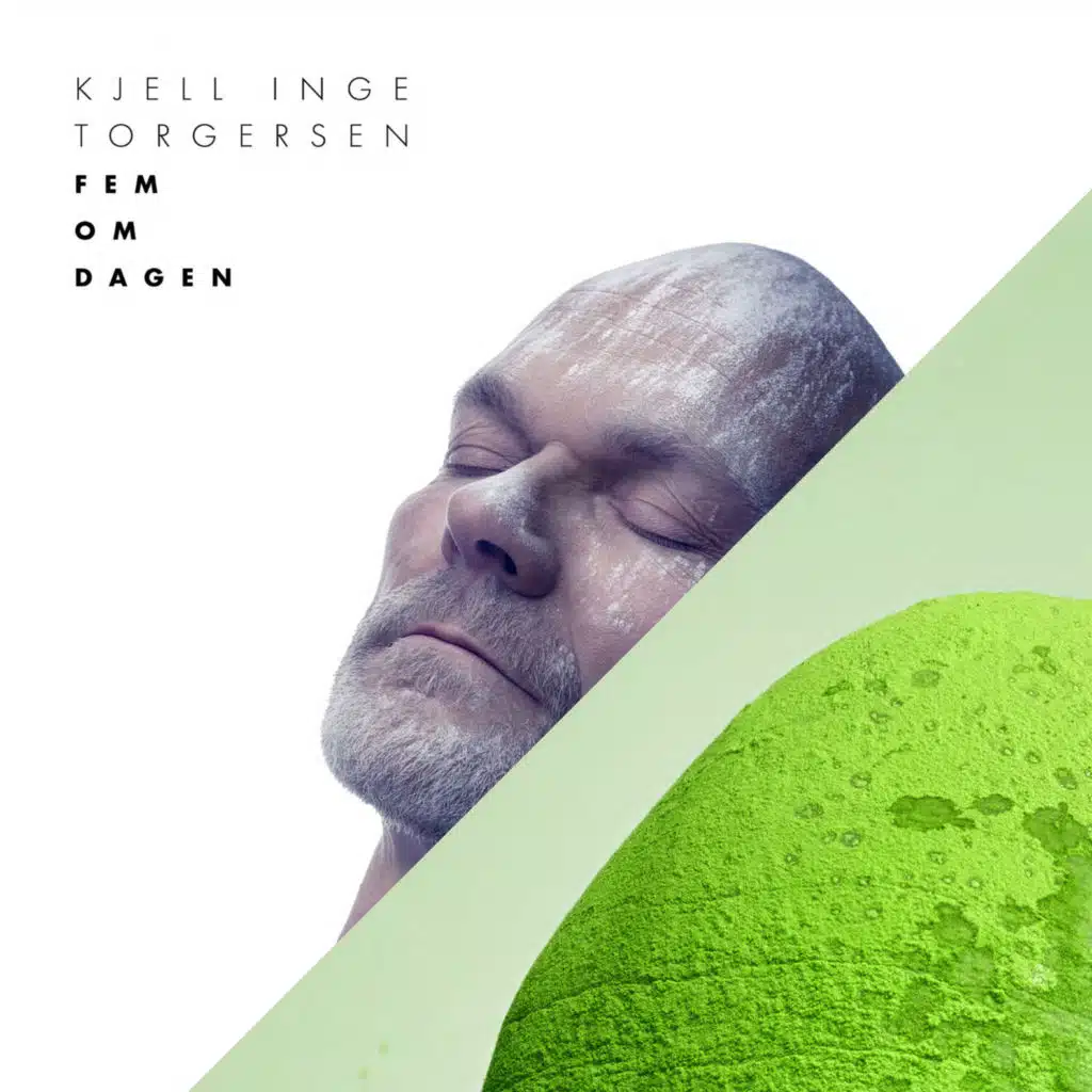 Kjell Inge Torgersen