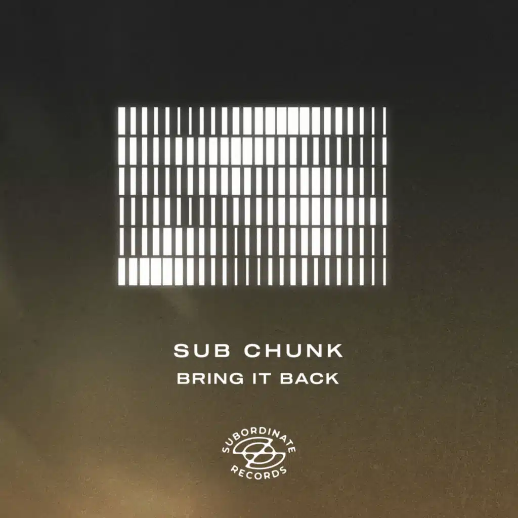 Sub Chunk