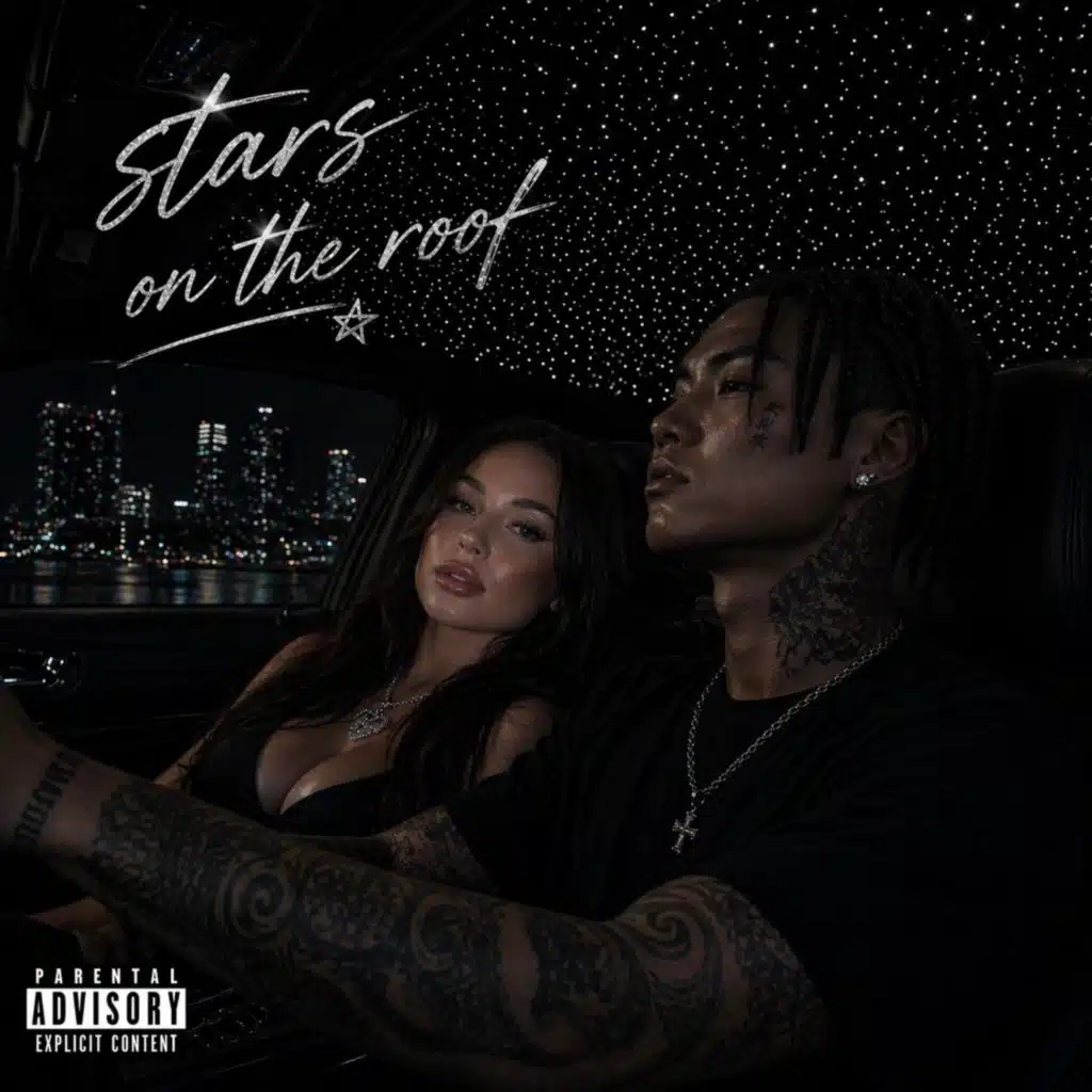 Stars on the roof pt2