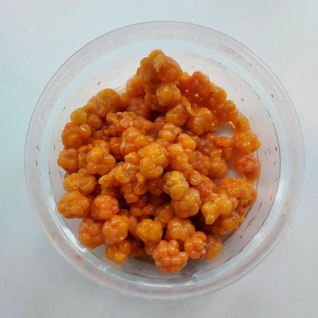 Cloudberries
