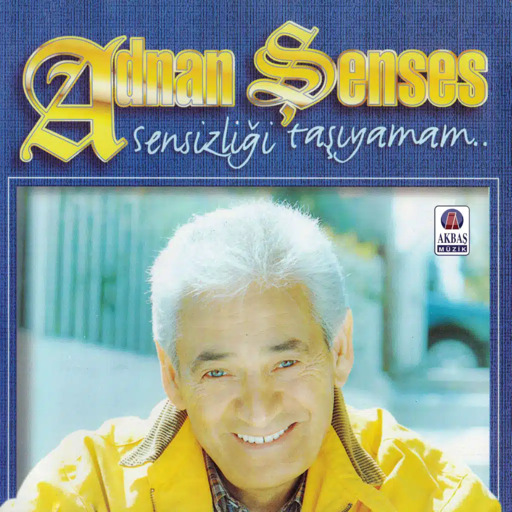 Sensizliği Taşıyamam