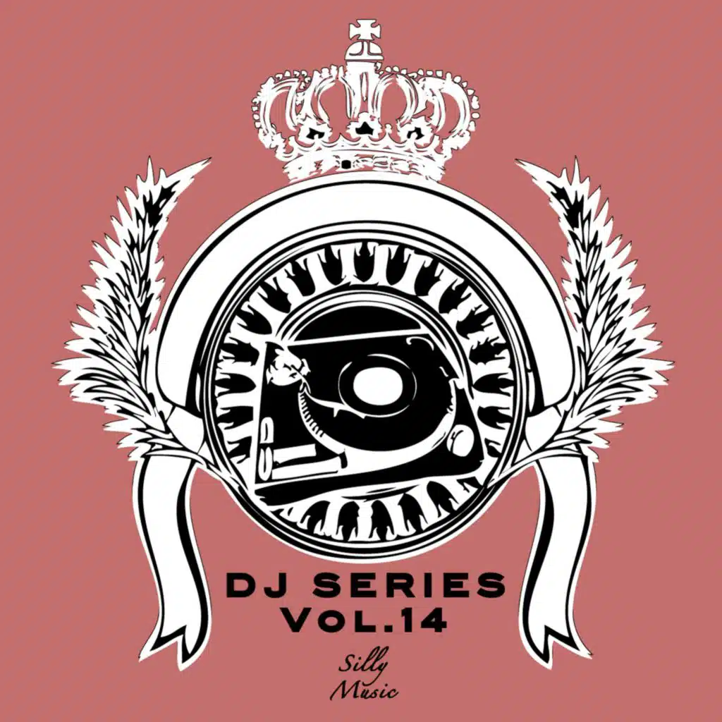 Dj Series, Vol. 14