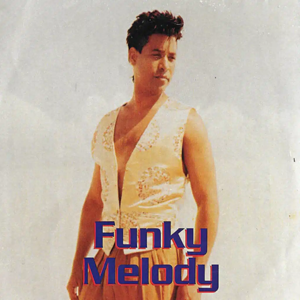 Funk Melody (feat. Stevie B)