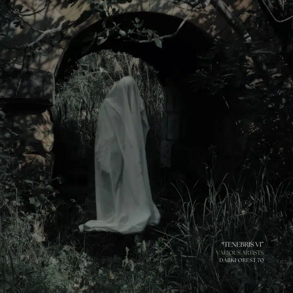 Tenebris VI