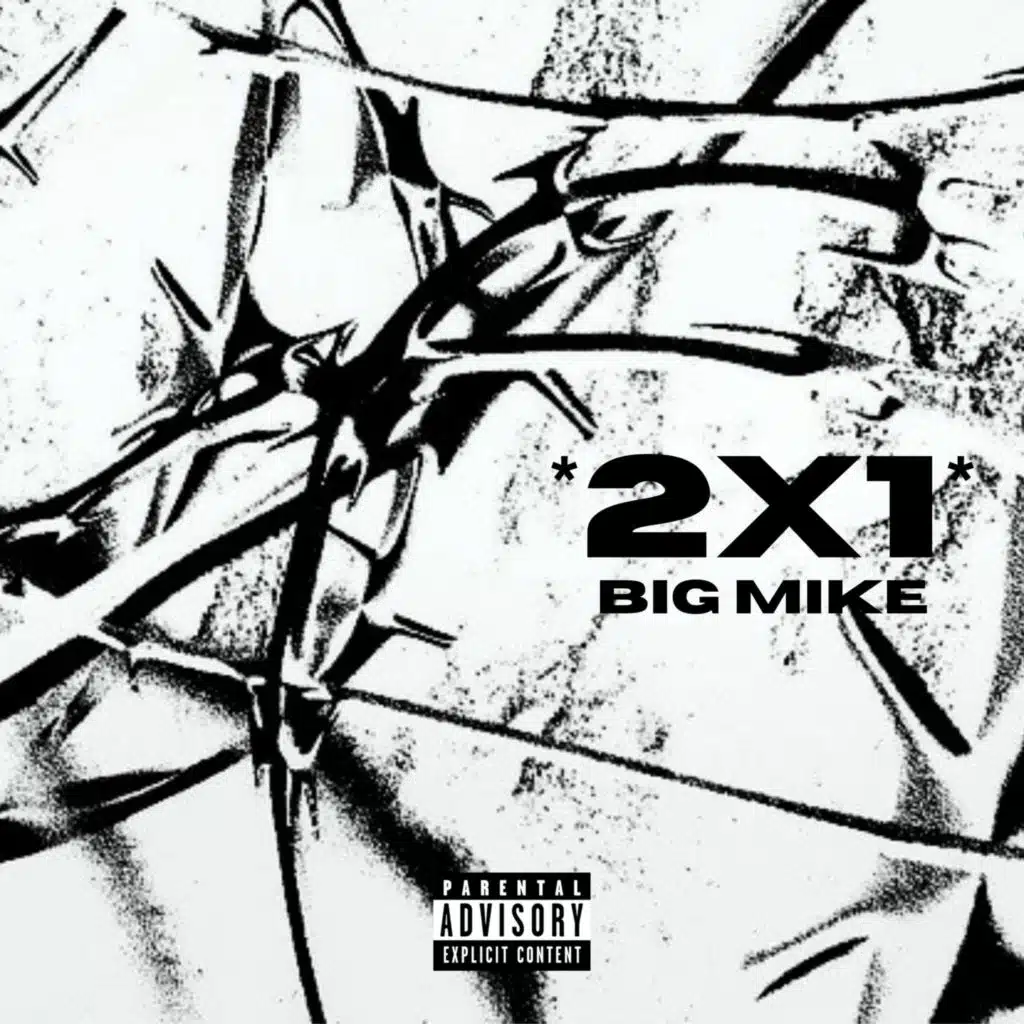 *2X1*