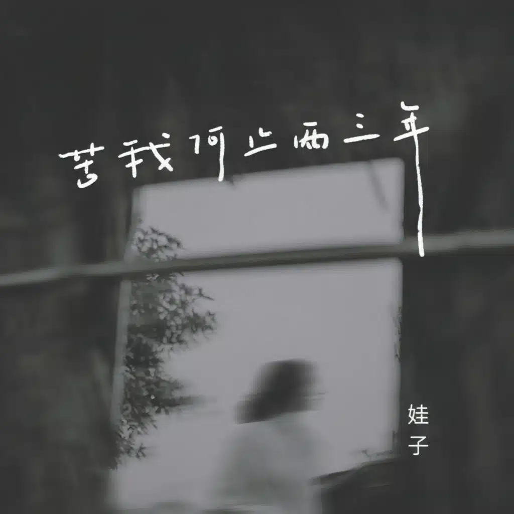 苦我何止两三年