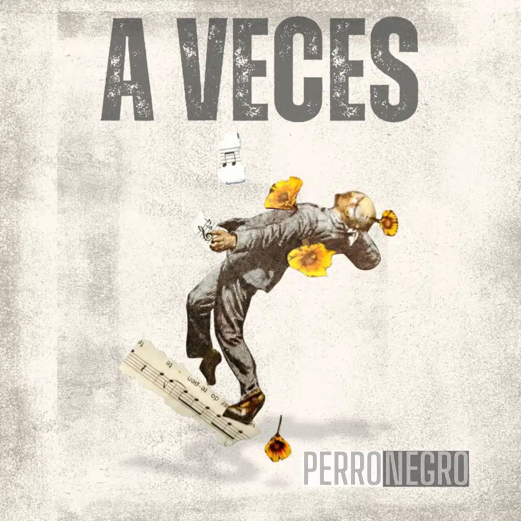 Perro Negro