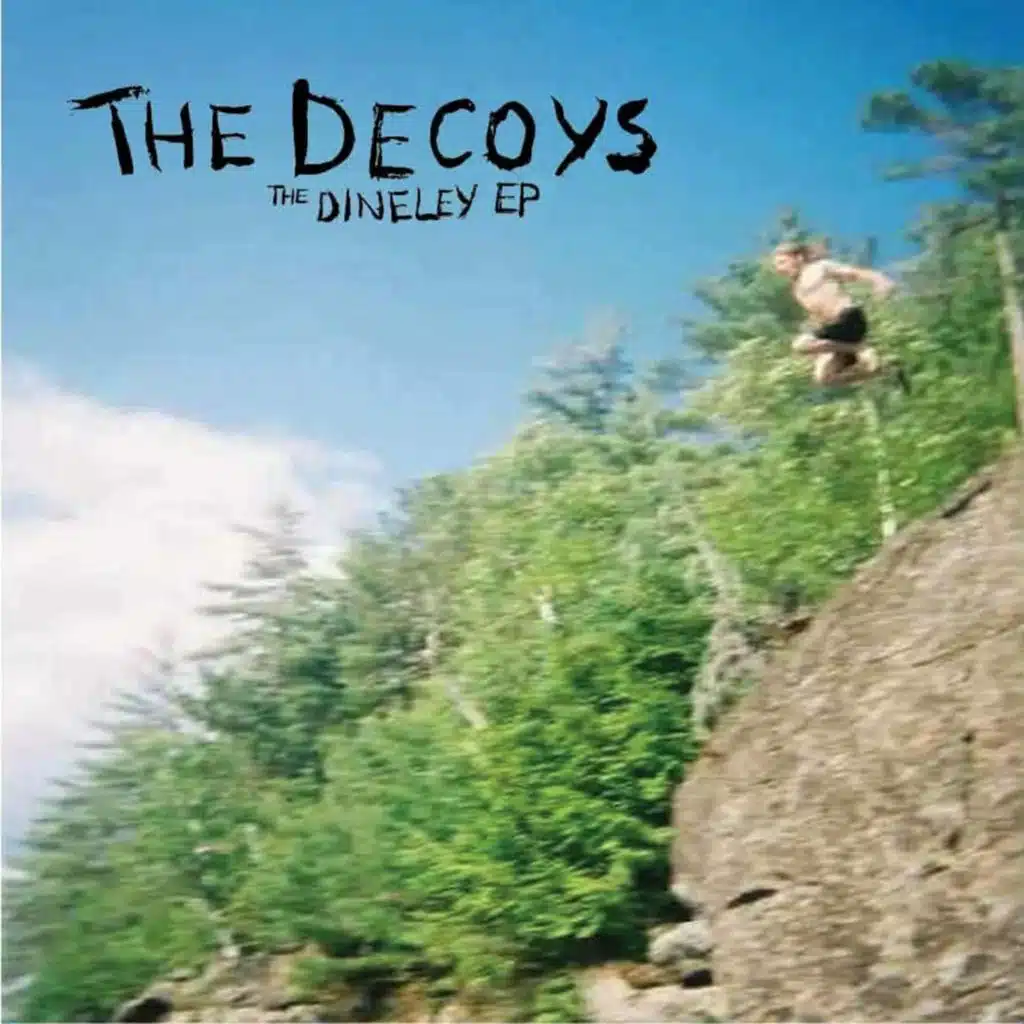 The Decoys