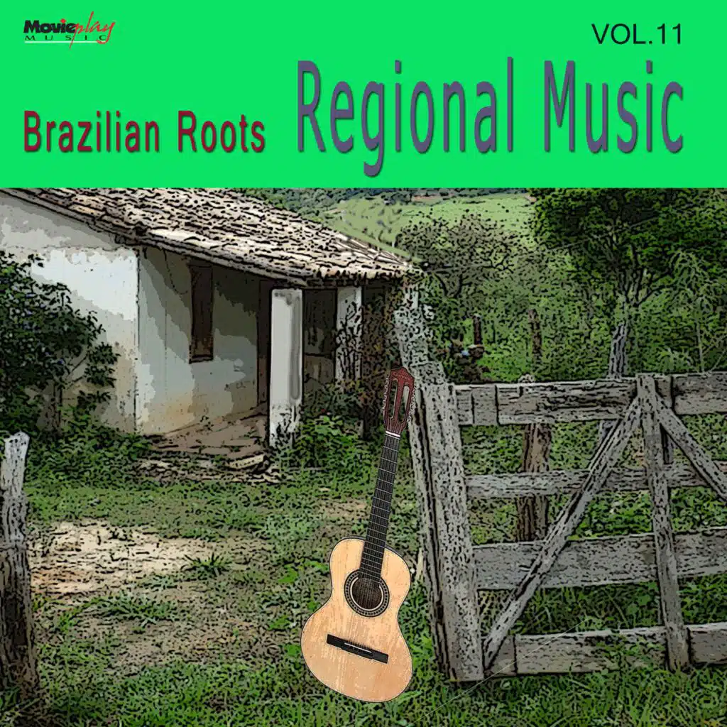 Rubens Diniz, Nhô Belamino & Nha Gabriela, Roberto Stanganelli & Robertinho do Acordeon