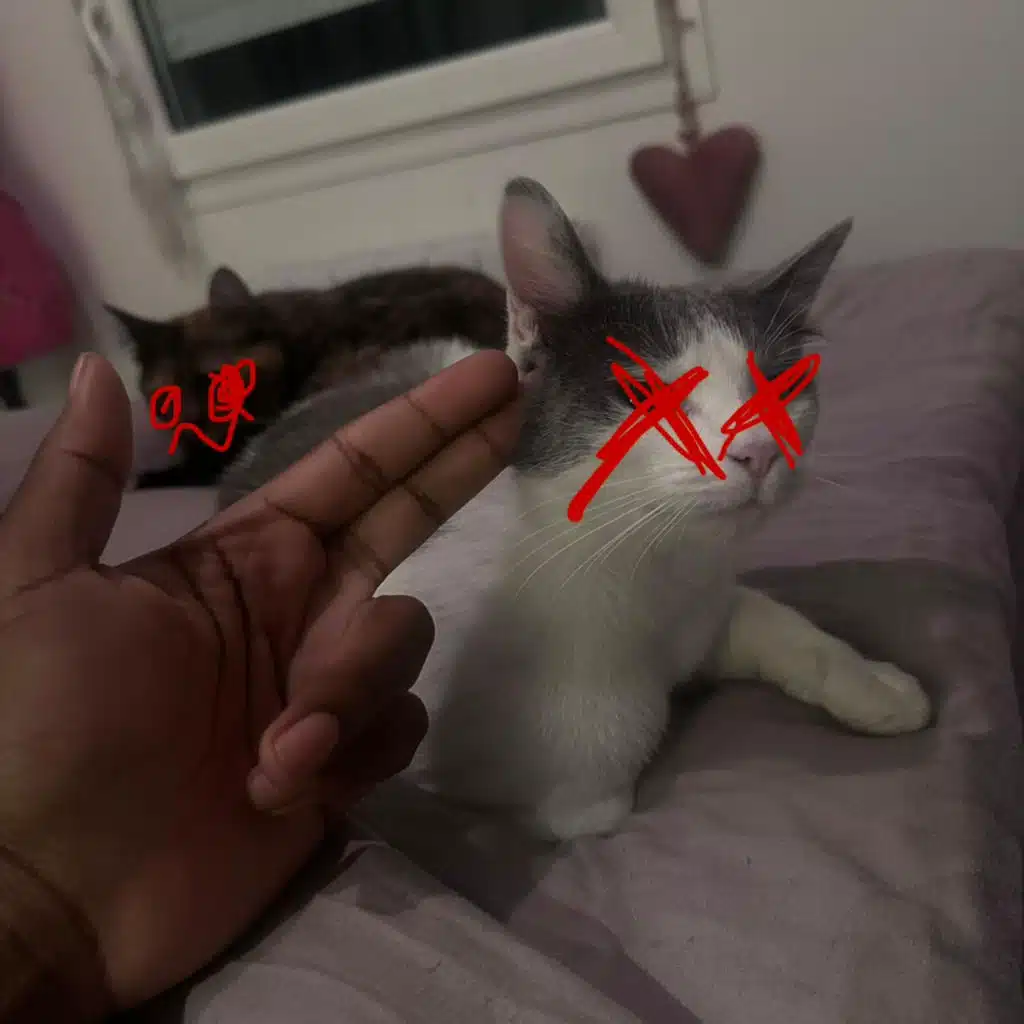Haïley