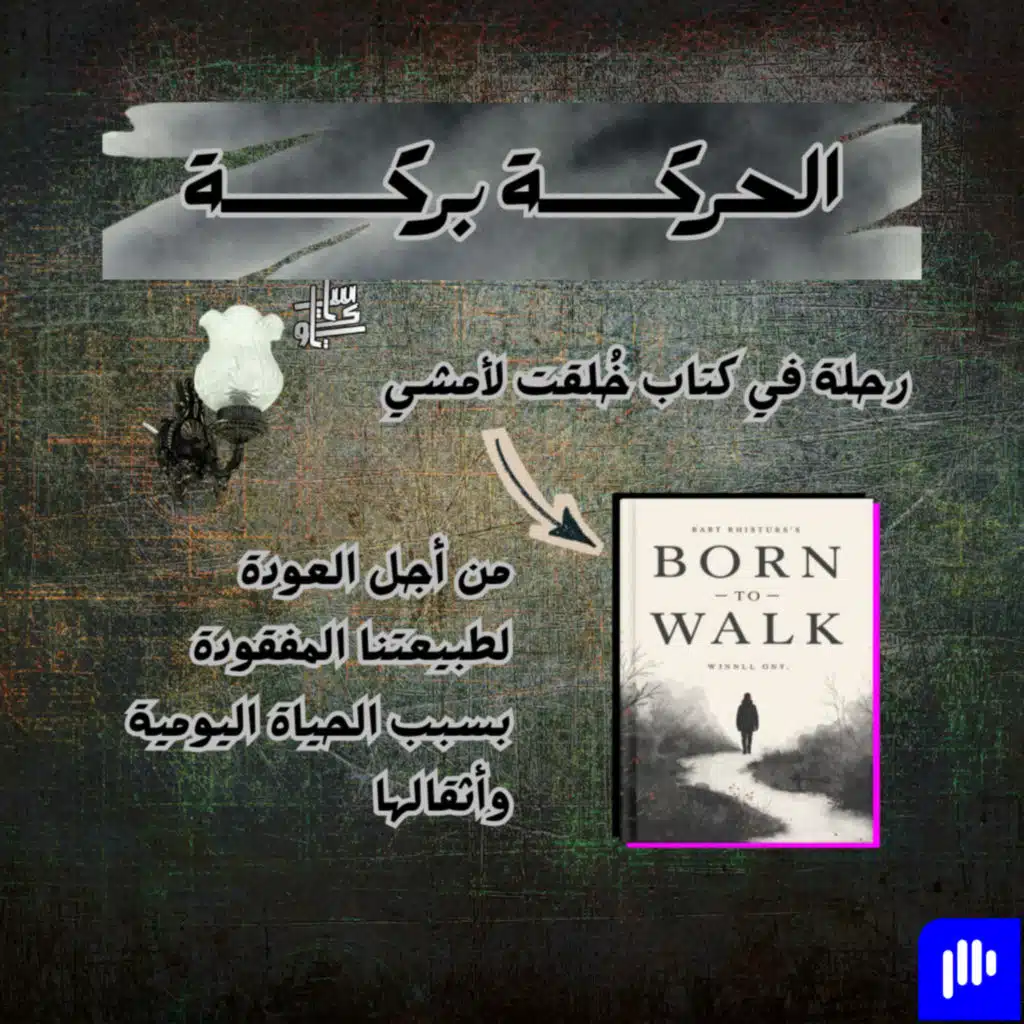 ٢٩- الحركة بركة