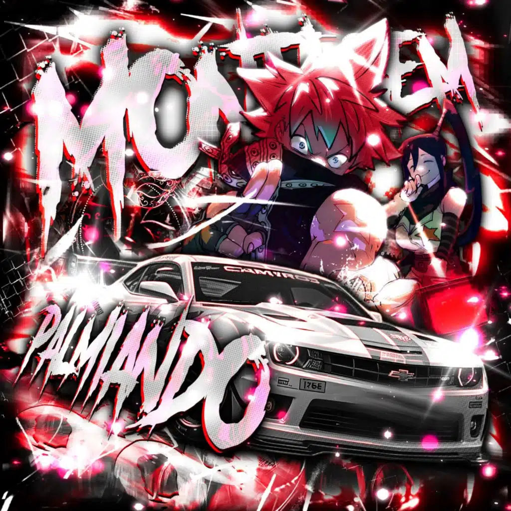 MONTAGEM PALMIANDO